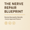 Nerve Repair Guide